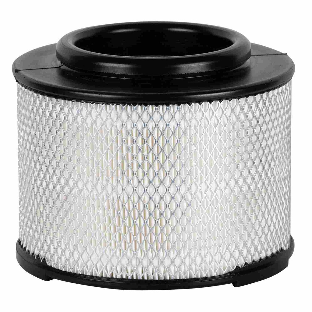 [PA99256] Air Filter Premium Guard